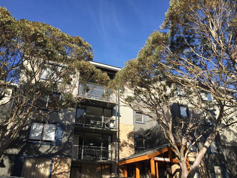 Snowflake 12 - Holiday Adelaide 0