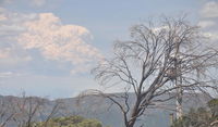 Book Mount Buller Accommodation Vacations Holiday Adelaide Holiday Adelaide