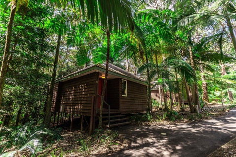 Songbirds Rainforest Retreat - Holiday Adelaide 2