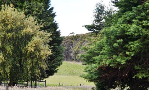 Springhill Winery - Holiday Adelaide 1