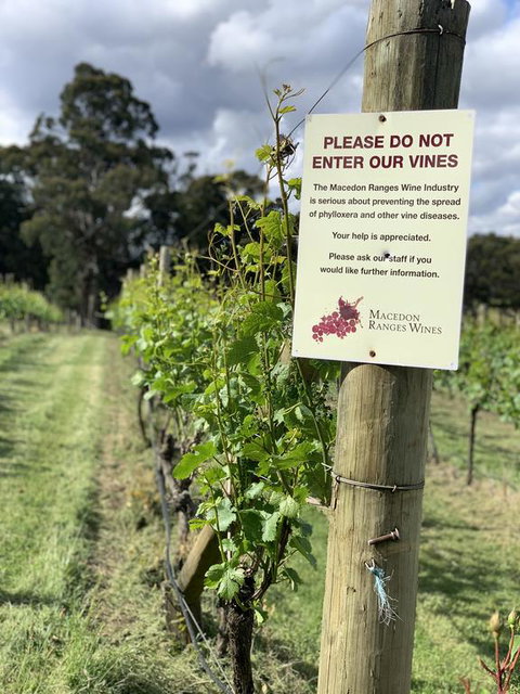 Springhill Winery - Holiday Adelaide 3