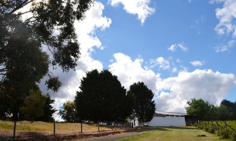 Springhill Winery - Holiday Adelaide 2