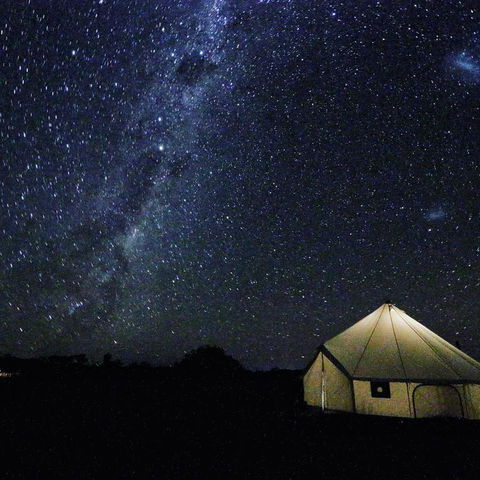 Starfields Luxury Camping - Holiday Adelaide 3