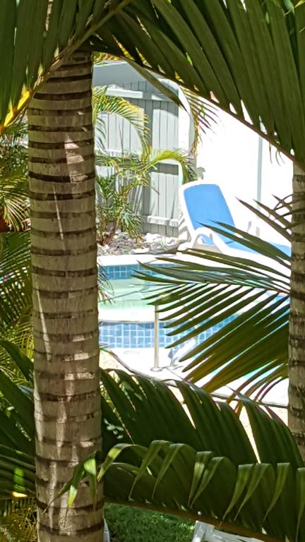Studio Apartment Mooloolaba Beach Holiday Management - Holiday Adelaide 0
