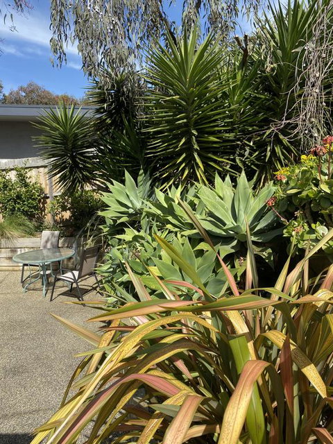 Surf Coast Haven - Holiday Adelaide 3