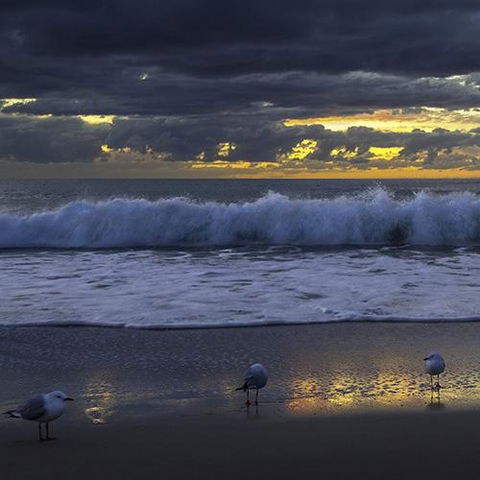 Surfers Horizons - Holiday Adelaide 3