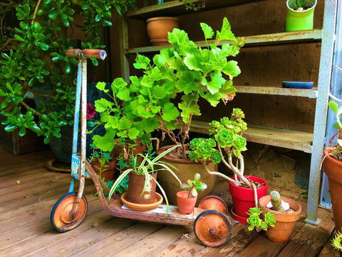 Sutton Spring Art Retreats - Holiday Adelaide 2