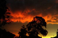 Book Thulimbah Accommodation Vacations Holiday Adelaide Holiday Adelaide