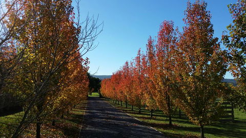 Tamar Valley Farm Stay - Holiday Adelaide 3