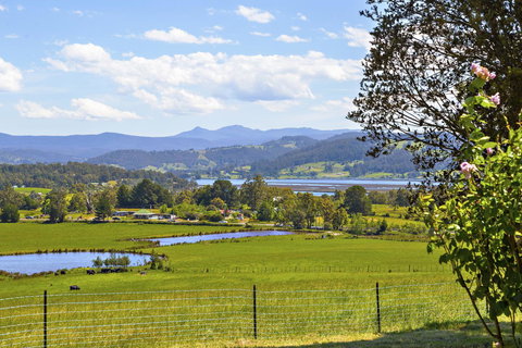 Birch Lane - Holiday Adelaide 10