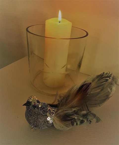 Birch Lane - Holiday Adelaide 26