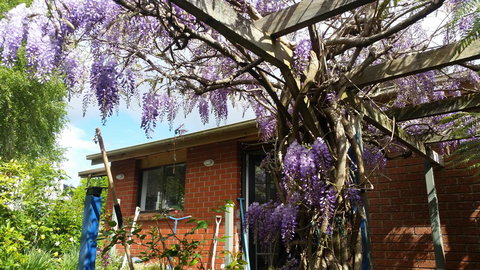 Birch Lane - Holiday Adelaide 42