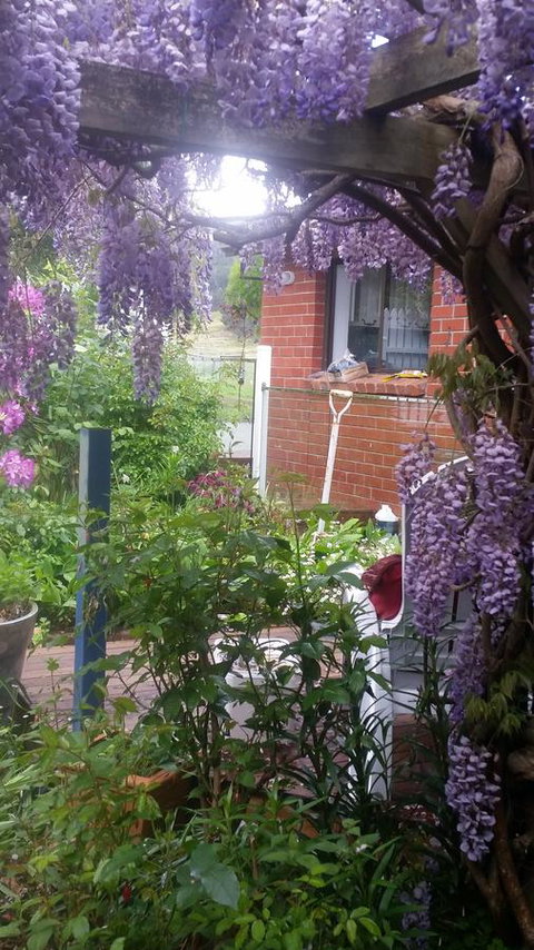 Birch Lane - Holiday Adelaide 41