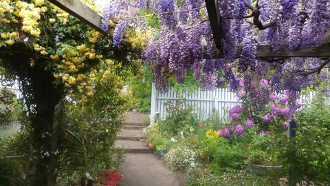 Birch Lane - Holiday Adelaide 20