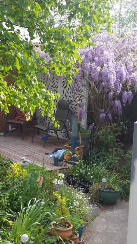 Birch Lane - Holiday Adelaide 44