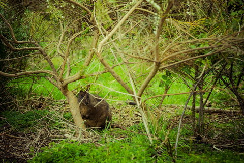 The Hobart Entrance - Holiday Adelaide 32
