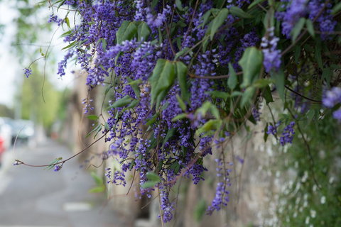 The Hobart Entrance - Holiday Adelaide 40