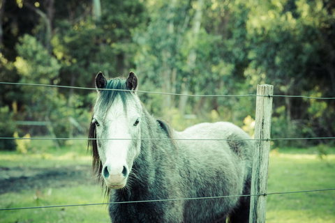 The Hobart Entrance - Holiday Adelaide 31
