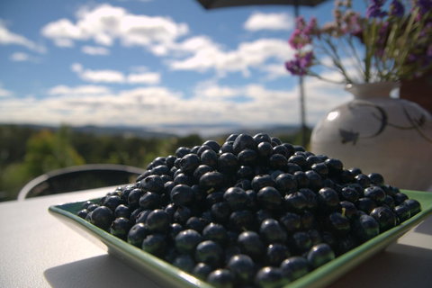 The Hobart Entrance - Holiday Adelaide 36