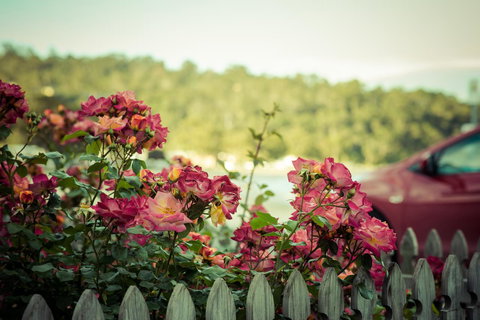 The Hobart Entrance - Holiday Adelaide 33