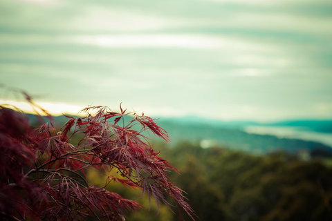 The Hobart Entrance - Holiday Adelaide 34