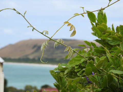 Ellie\'s Cottages - Holiday Adelaide 3