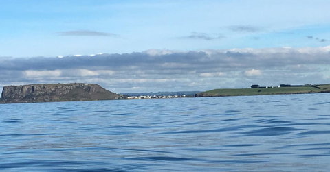 Ellie\'s Cottages - Holiday Adelaide 8