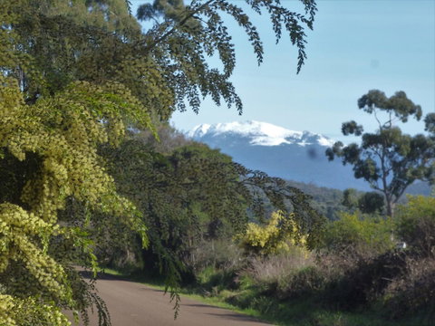 Southern Forest Accommodation - Holiday Adelaide 24