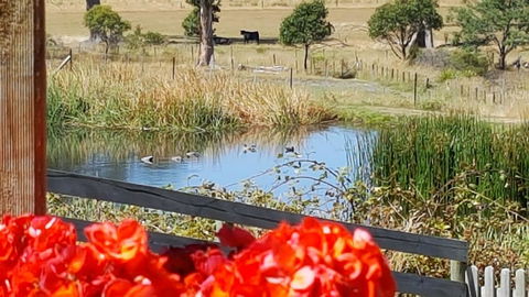 Hazelcreek Cottages - Holiday Adelaide 11