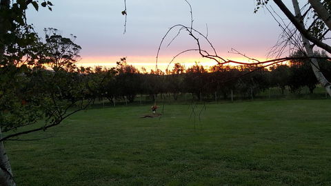 Hazelcreek Cottages - Holiday Adelaide 33