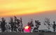 Hazelcreek Cottages - thumb 31