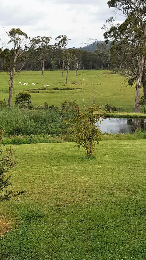 Hazelcreek Cottages - Holiday Adelaide 7