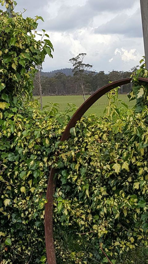 Hazelcreek Cottages - Holiday Adelaide 36