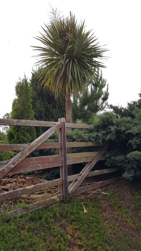 Hazelcreek Cottages - Holiday Adelaide 38