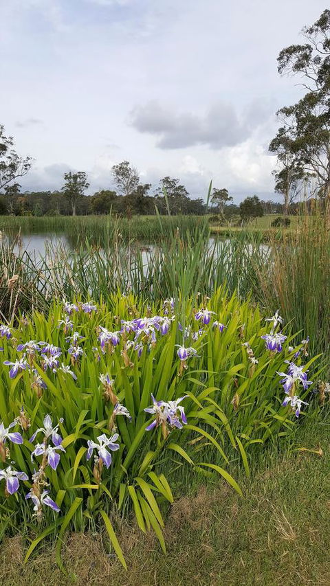 Hazelcreek Cottages - Holiday Adelaide 1
