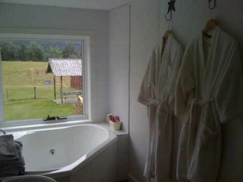 Sassafras Springs - Holiday Adelaide 8