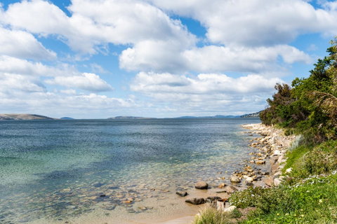 Litora Accommodation - Holiday Adelaide 27