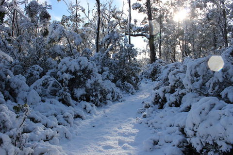 Cradle Mountain Hotel - Holiday Adelaide 4