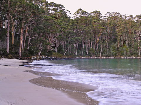 NRMA Port Arthur Holiday Park - Holiday Adelaide 41