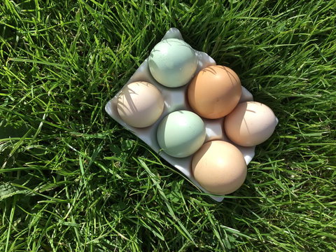 Nextdoor@portarthur - Holiday Adelaide 15