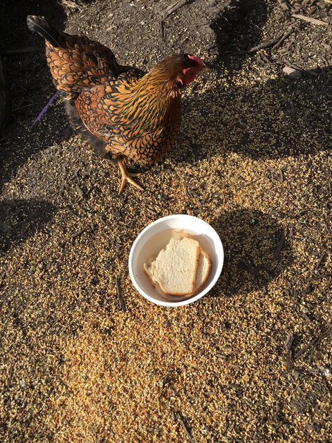 Nextdoor@portarthur - Holiday Adelaide 16