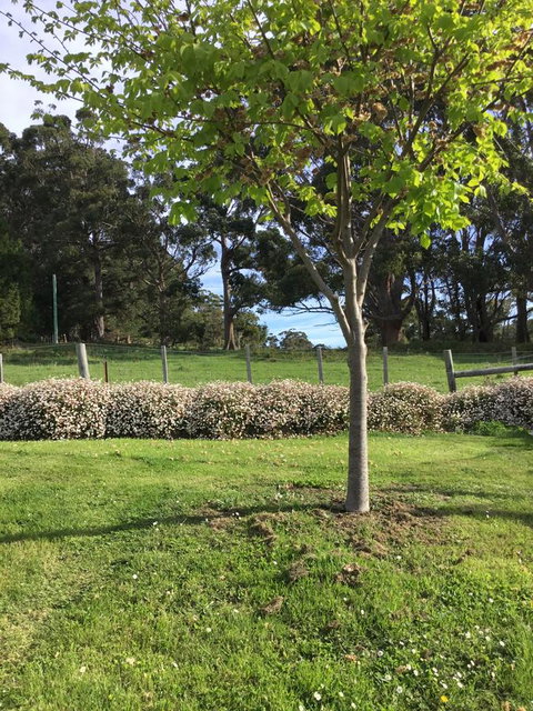 Nextdoor@portarthur - Holiday Adelaide 17