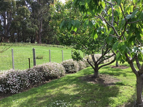 Nextdoor@portarthur - Holiday Adelaide 18