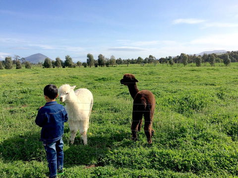 Taras Richmond Farmstay - Holiday Adelaide 0