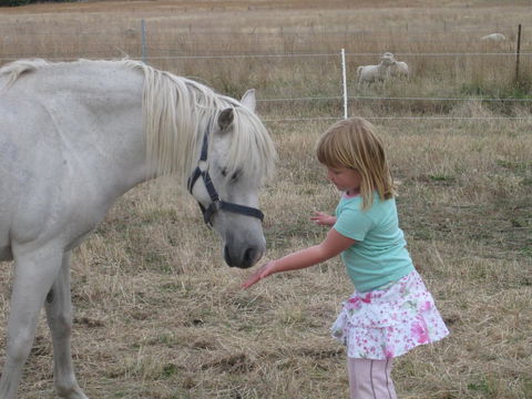 Taras Richmond Farmstay - Holiday Adelaide 19