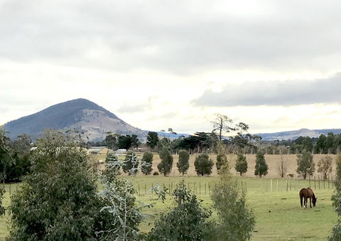 Taras Richmond Farmstay - Holiday Adelaide 1