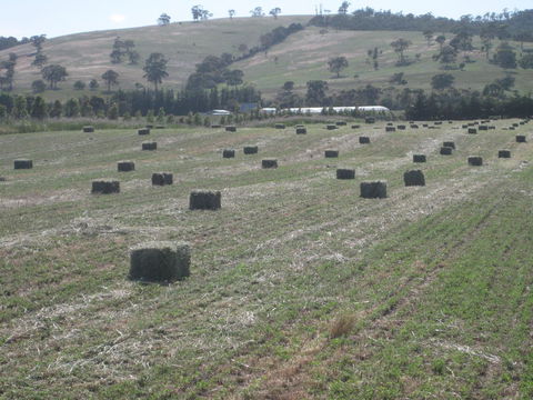 Taras Richmond Farmstay - Holiday Adelaide 18