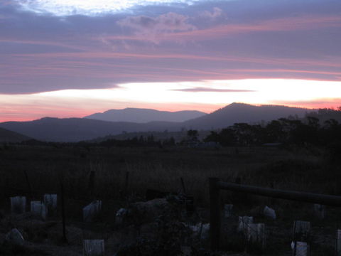 Taras Richmond Farmstay - Holiday Adelaide 22