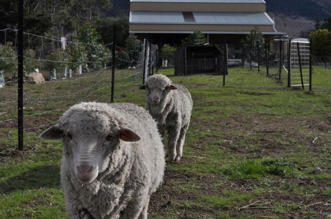 Taras Richmond Farmstay - Holiday Adelaide 14