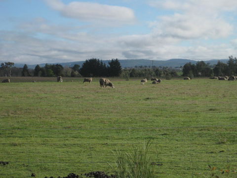 Taras Richmond Farmstay - Holiday Adelaide 13